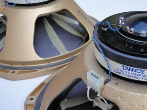 Haut-paleurs Tannoy HPD365